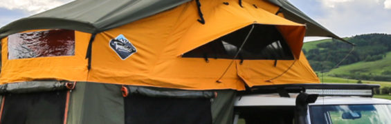 treeline outdoors tent
